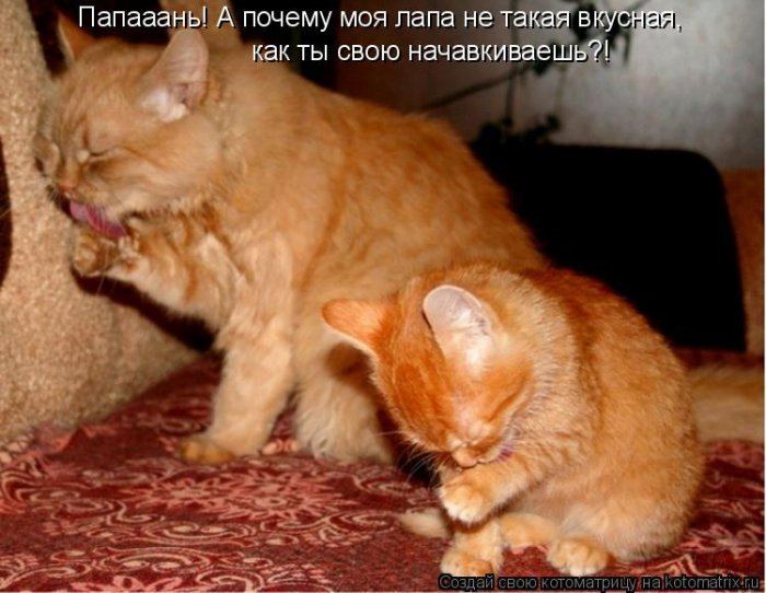 Мысли вслух :)