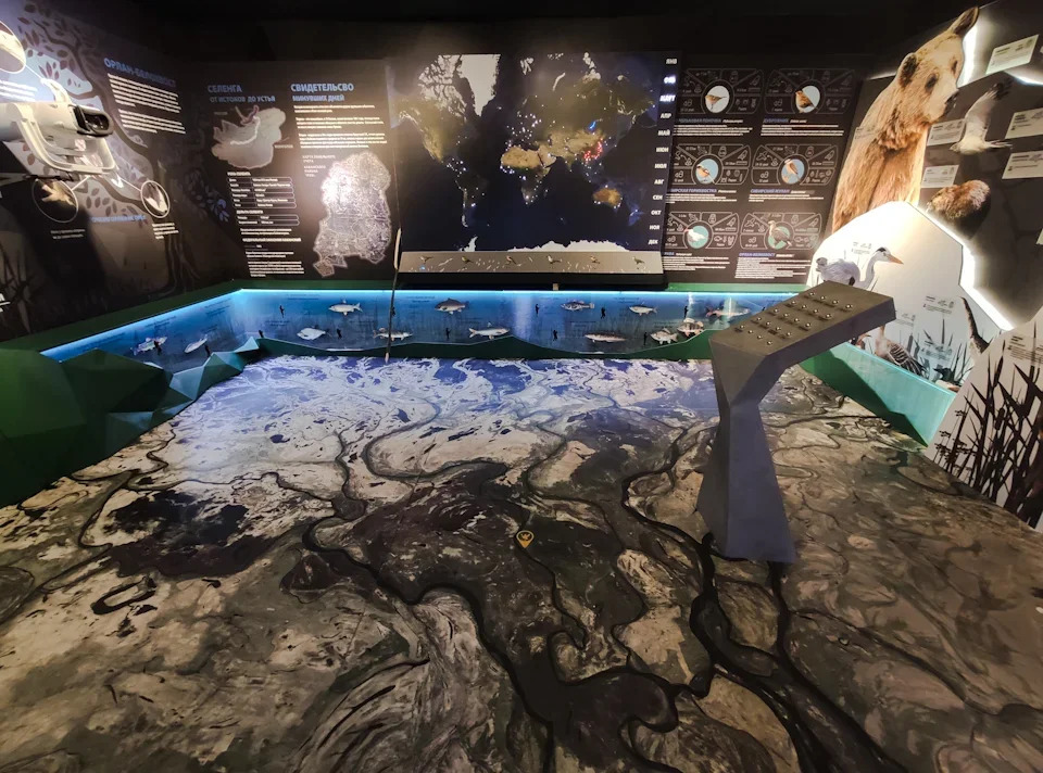 Кабанский заказник: маленький рай в дельте Селенги 