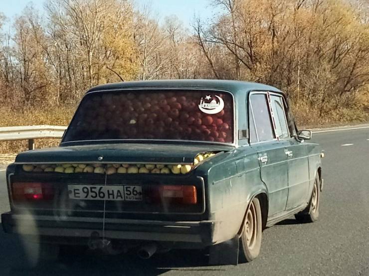 Подборка прикольных картинок  приколы,смешные картинки,юмор