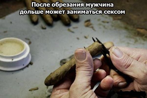 Интересные факты о сексе / Для мальчиков                         