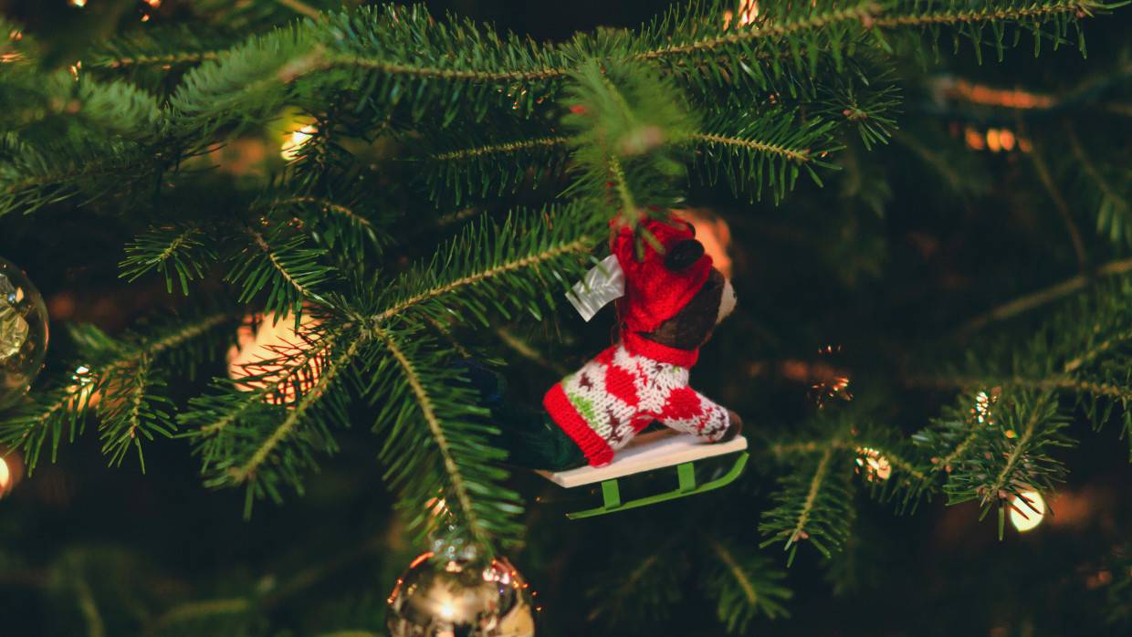 Депутат Бессараб: россияне к Новому году получат пенсии и праздничные премии