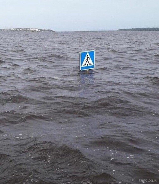 Приколы вторника (35 фото)