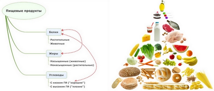 Группы продуктов питания.