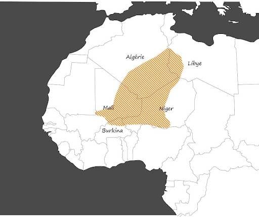 Мали: борьба с террористами и война за ресурсы. Туарегский фактор геополитика