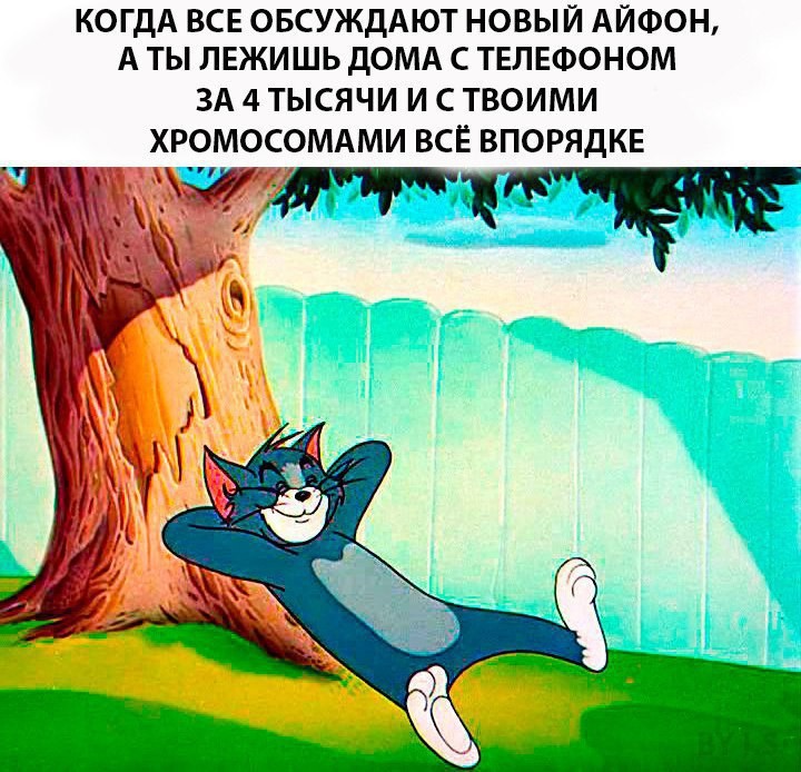 Парень пишет девушке в аське: - Как твой попугайчик поживает?... Весёлые,прикольные и забавные фотки и картинки,А так же анекдоты и приятное общение