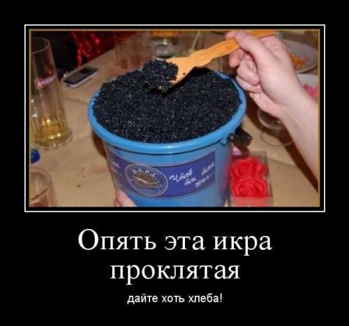 Новая порция демотиваторов (12 фото)