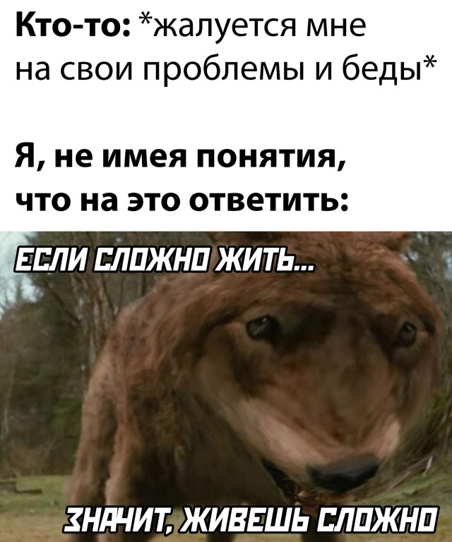 Подборка смешных картинок Подборка смешных картинок приколы,смешные картинки,юмор