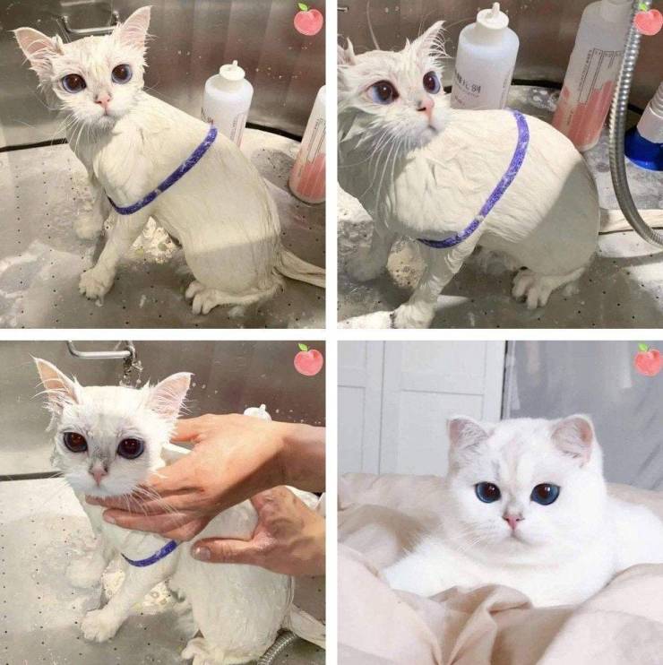 Подборка смешных картинок Подборка смешных картинок приколы,смешные картинки,юмор