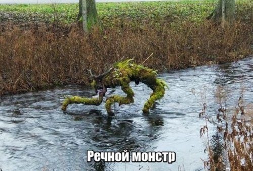 Фотоприколы дня!