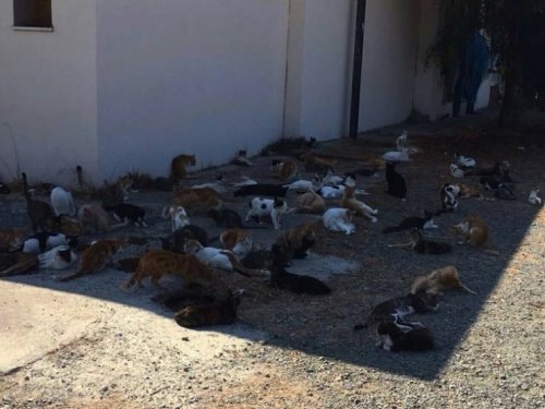 20 жарких летних фотографий, чтобы согреться в этот холодный зимний вечер 