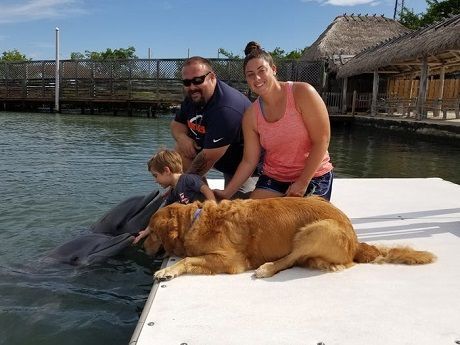 Мир поразила необычная дружба собаки и дельфина (ФОТО)