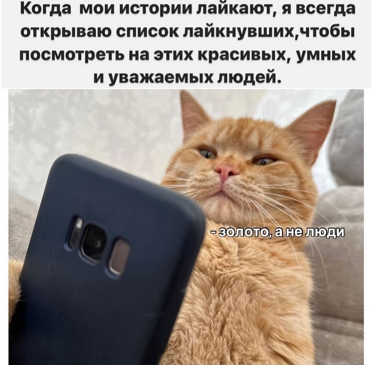 Немножко смешных зверушек... Надёргано , отовсюду