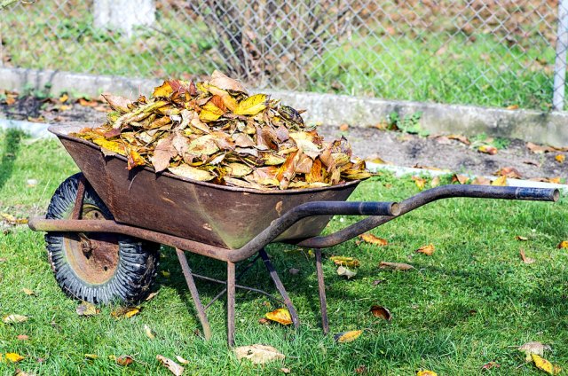 Как собрать 10 кг картофеля с 1 кв.м  советы