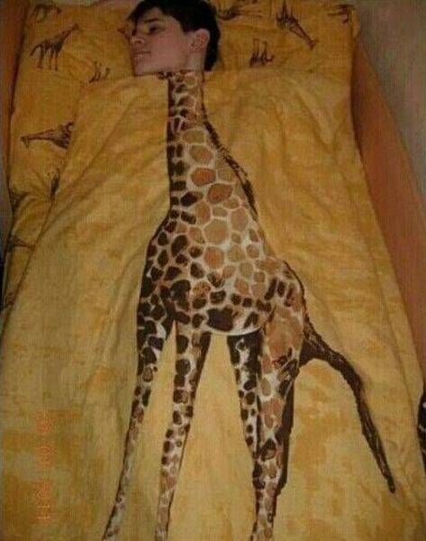 Прикольные и очень прикольные картинки (54 шт)