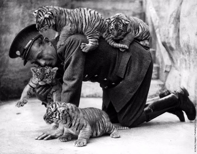 Дружба животных и людей на фотографиях 19 века