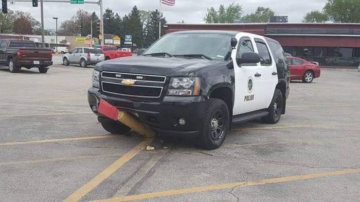 Подборка картинок. Дневной выпуск (55 фото)