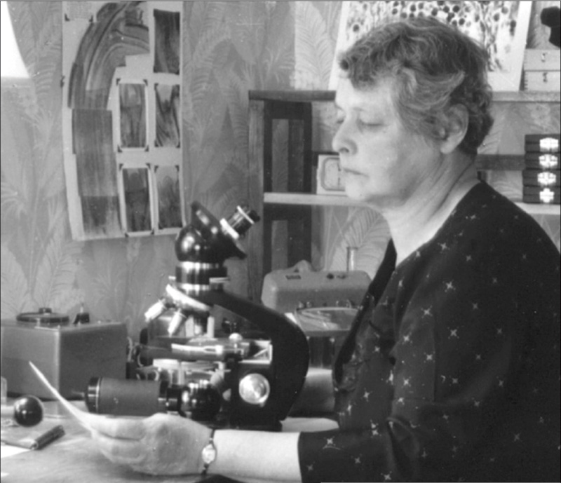 Долгий путь вместе. Питирим Сорокин и Елена Баратынская Долгий путь вместе. Питирим Сорокин и Елена Баратынская