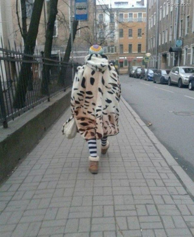 Красота - страшная сила! Внимание, не надорвите живот! Красота - страшная сила! Внимание, не надорвите живот! позитив,смешные картинки,юмор