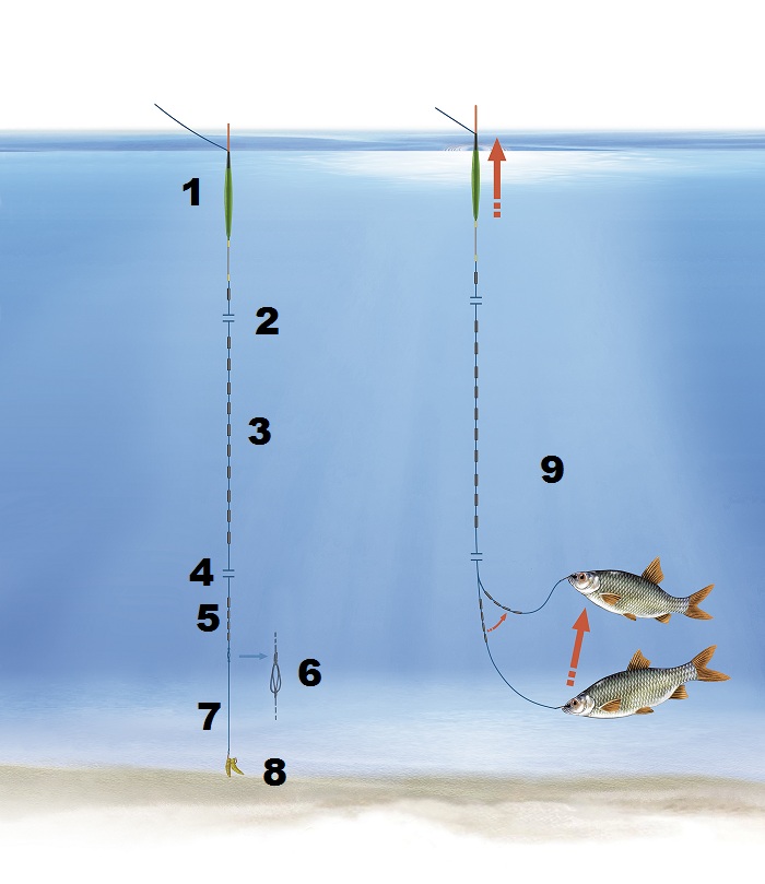 Мягкий лифт: 1 поплавок грузоподъёмностью 3 г; 2 расстояние между дробинками-указателями глубины (грузило Styl № 20), расстояние до поплавка 0,5 см; 3 10 грузил Styl № 20 (по 25 мг), расстояние между верхними грузилами 10 см; 4 основная леска Ø 0,14 мм, расстояние 100 см; 5 1 грузило Styl № 15 (10 мг) + 3 грузила Styl № 12 (по 5 мг), расстояние 3 см; 6 соединение «петля в петлю»; 7 поводок Ø 0,12 мм, длиной 20 см; 8 крючок № 14–16; 9 Когда рыба при поклёвке плывёт вверх и поднимает самую нижнюю дробинку оснастки, узкие поплавки быстро выныривают на 2 см из воды, поэтому важно точно огрузить поплавок до самой антенны.
