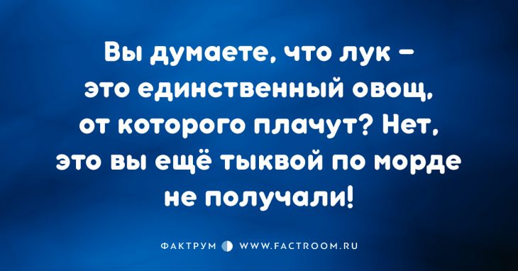 Славная подборка шуток и анекдотов, чтобы немного вас повеселить Славная подборка шуток и анекдотов, чтобы немного вас повеселить