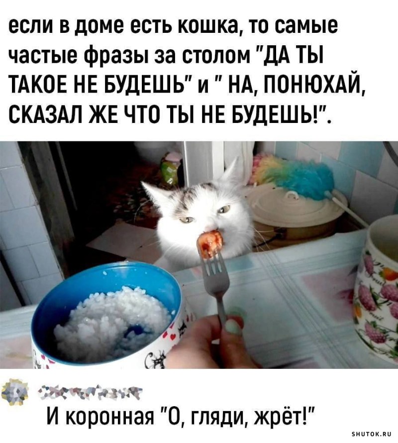 Самые смешные картинки с надписям 