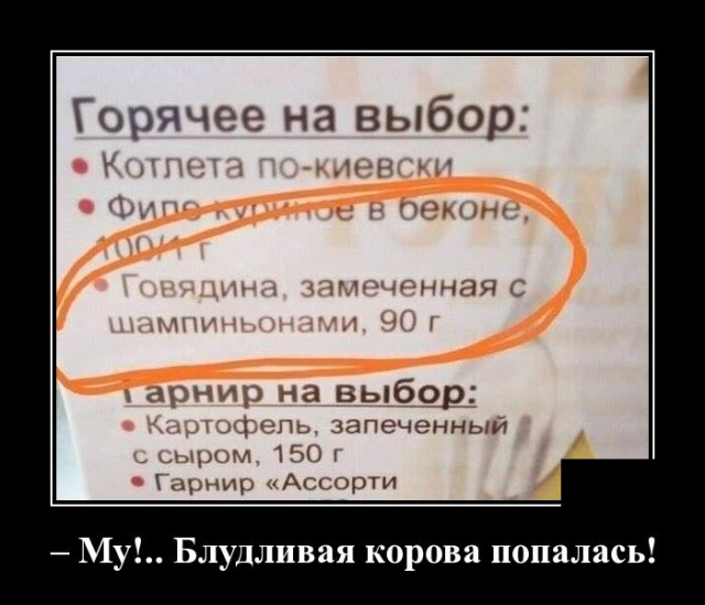 Подборка демотиваторов и веселых картинок №65 демотиваторы