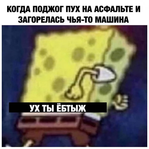 Прикольные картинки для всех Прикольные картинки для всех