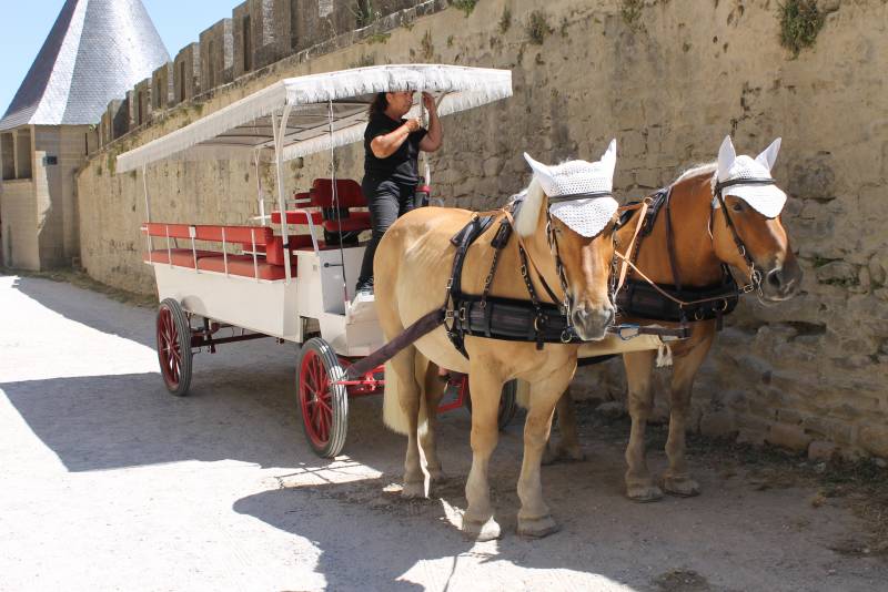 Обед в стиле Столетней войны… Обед в стиле Столетней войны… история