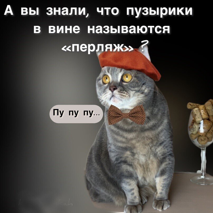 Немножко смешных зверушек... Надёргано , отовсюду