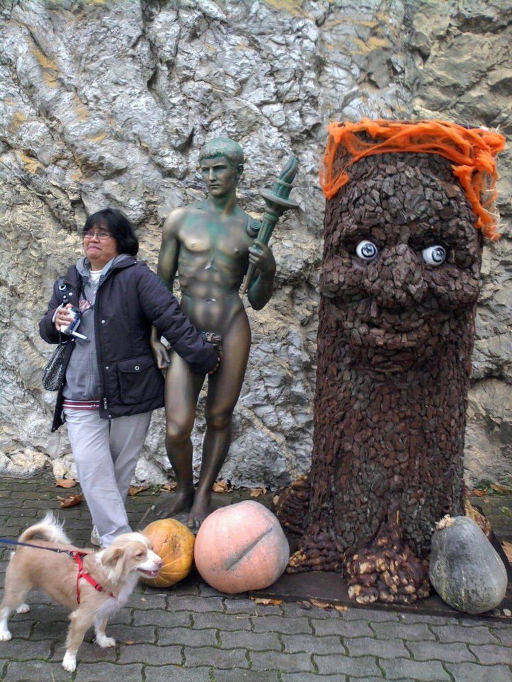 Забавные картинки для хорошего настроения Забавные картинки для хорошего настроения животные,жизнь,звери,земля,котики,коты,курьезы,мир,питомцы,планета,приколы,природа,смешное,собаки,факты,фауна,флора,щенки,юмор