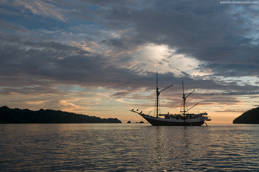 Фотография: Волшебный мир архипелага Раджа Ампат №5 - BigPicture.ru