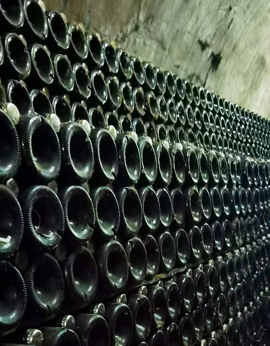 Посещение: август 2023г. «Абрау-Дюрсо» это не только один из крупнейших российских производителей вина с объёмом производства 33 млн.-10