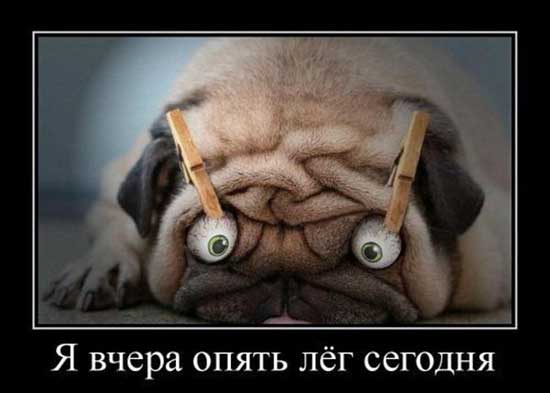 Раньше я рассказывал людям о своих проблемах... Раньше я рассказывал людям о своих проблемах... анекдоты,веселье,демотиваторы,приколы,смех,юмор