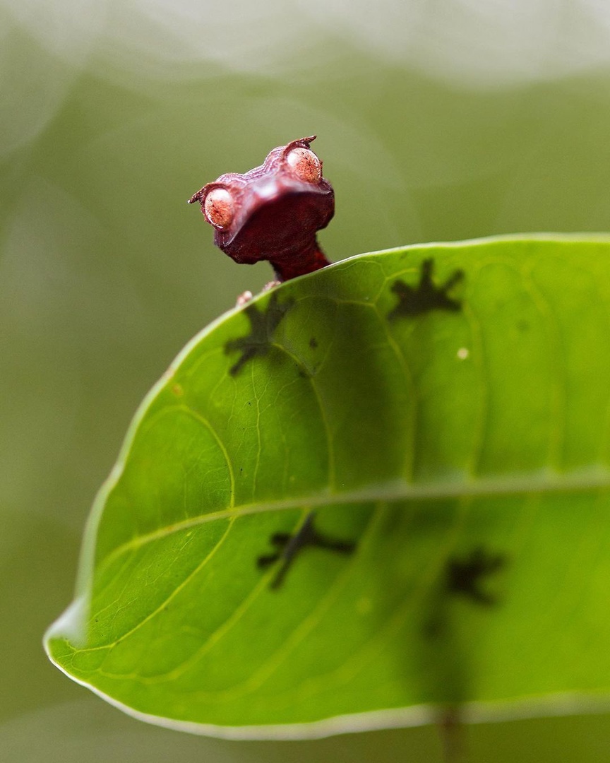 Юмор из интернета 663