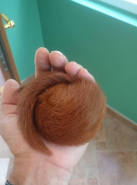 Подборка картинок. Вечерний выпуск (58 фото)