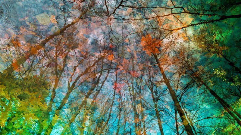 «Прикосновения Осени». Автор фото: Юрий Притиск. природа, россия, фото