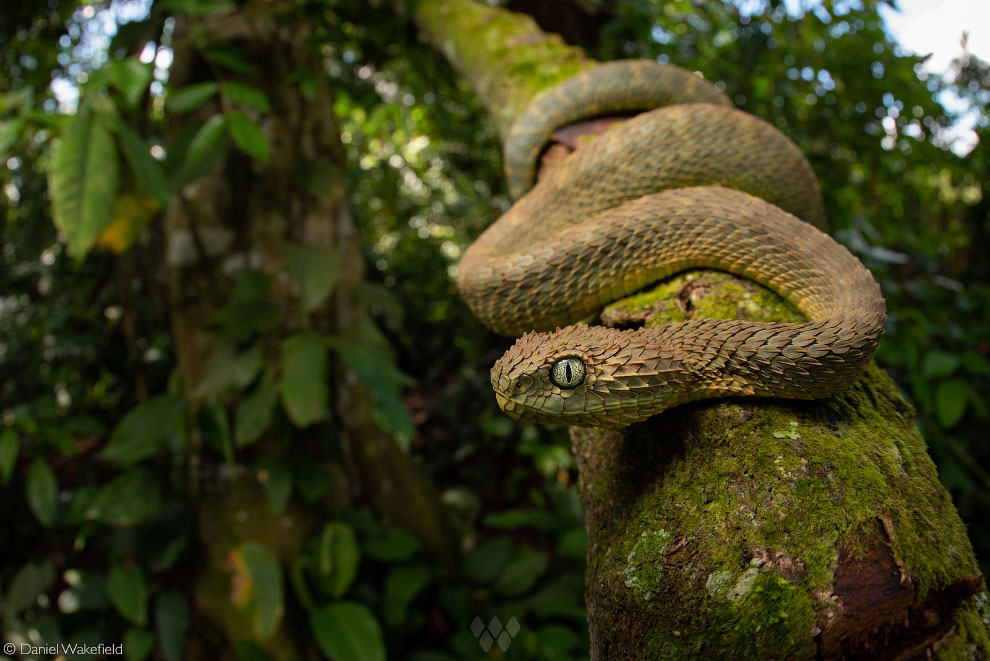 Лучшие фотографии Африки 2020 Африка,фотографии