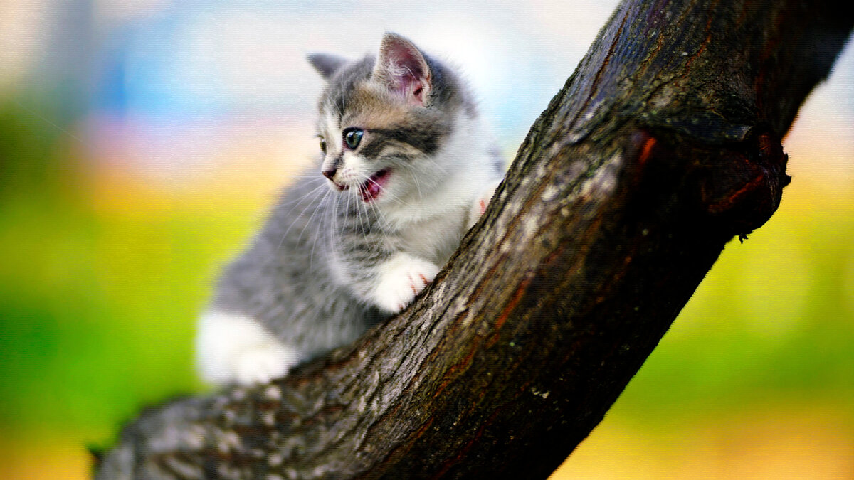 источник фото: goodfon.ru