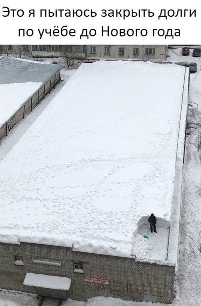 Прикольные фотомемы для всех Прикольные фотомемы для всех