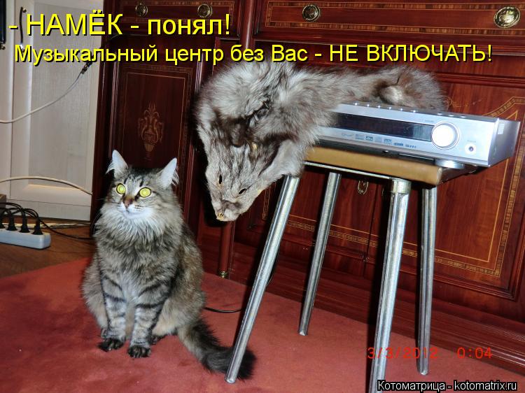 Котоматрица: - НАМЁК - понял! Музыкальный центр без Вас - НЕ ВКЛЮЧАТЬ!