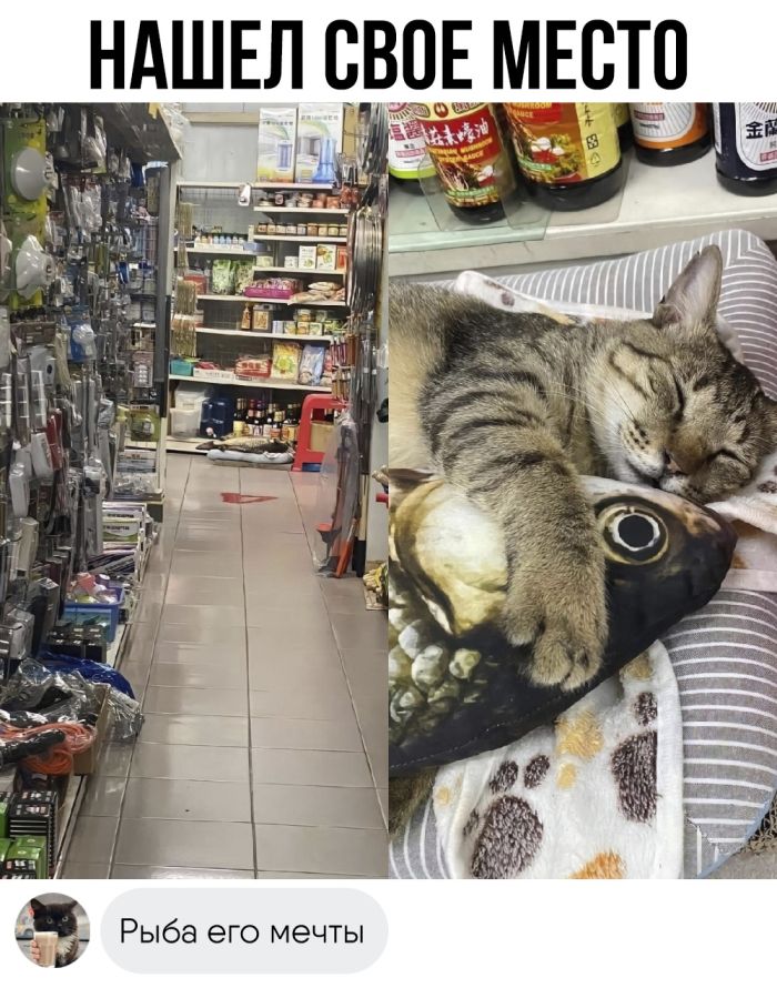 Комментарии с перчинкой — приправляют пост, как острый соус 