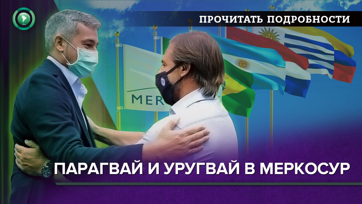 От убийств за землю до торговой войны: как Франция и Бразилия воюют за лес в Амазонии