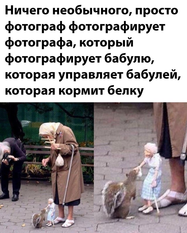 Подборка прикольных картинок Подборка прикольных картинок приколы,смешные картинки,юмор