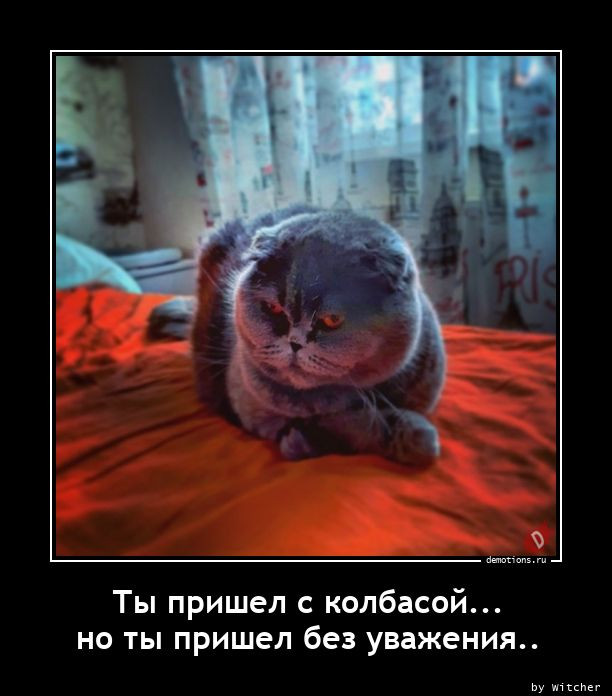 Коллекция демотивирующего юмора для всех читателей нашего сайта 