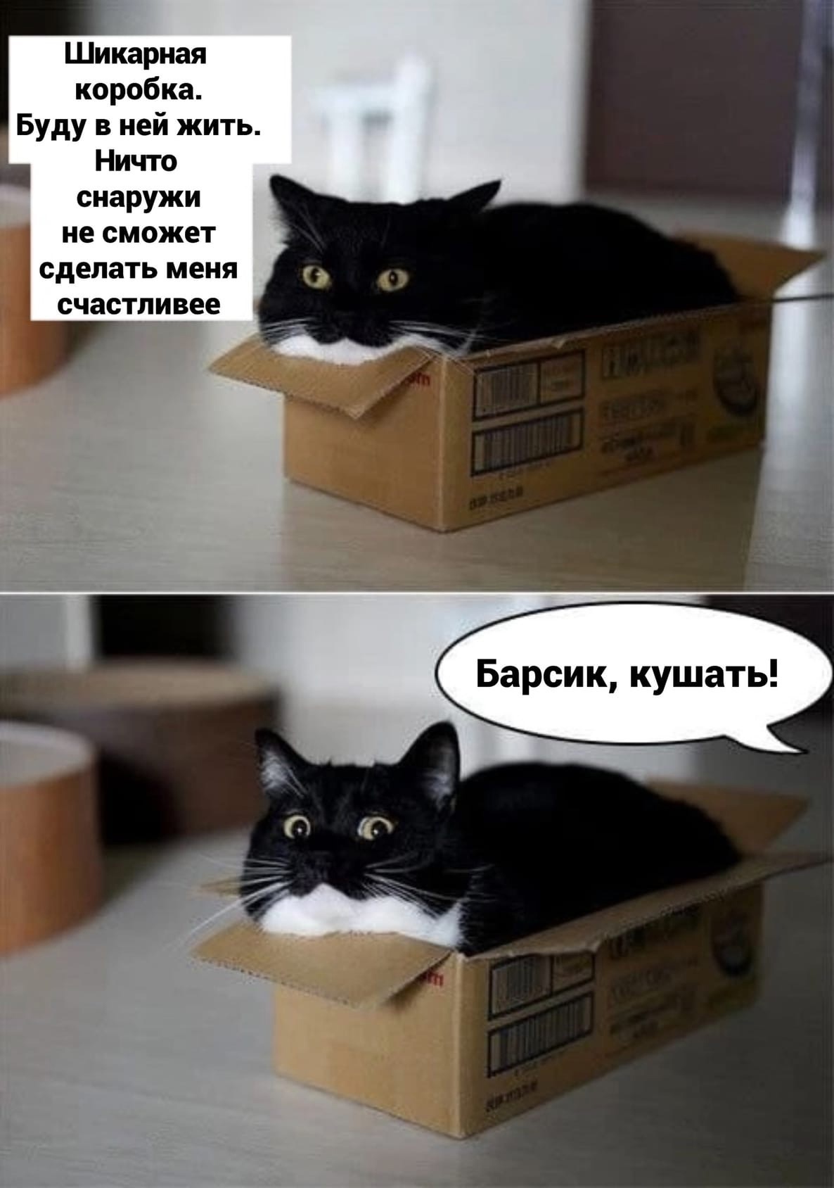 Юмор из интернета 689 позитив,смех,улыбки,юмор