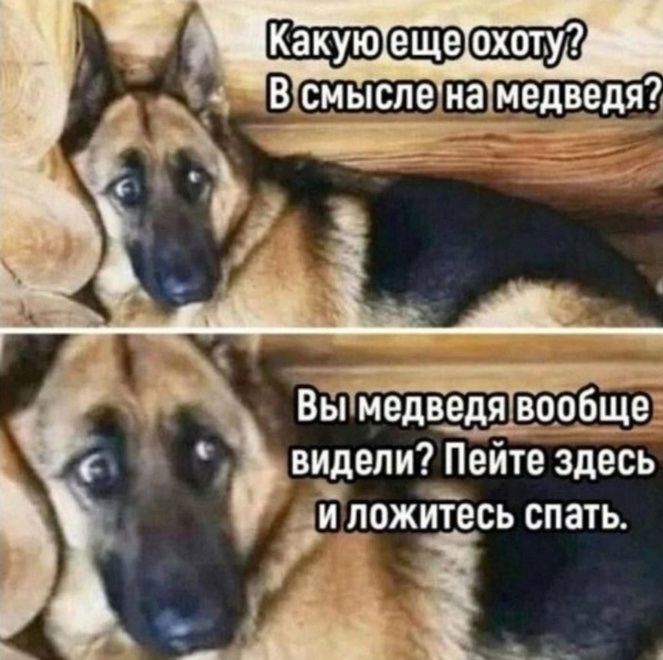 Немножко смешных зверушек... Надёргано , отовсюду