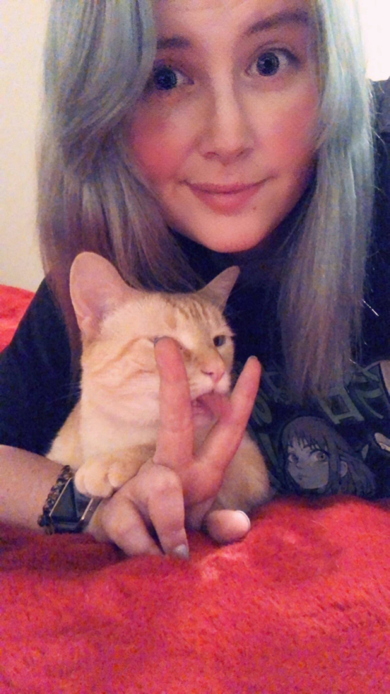 Забавные картинки для хорошего настроения Забавные картинки для хорошего настроения животные,жизнь,звери,земля,котики,коты,курьезы,мир,питомцы,планета,приколы,природа,смешное,собаки,факты,фауна,флора,щенки,юмор