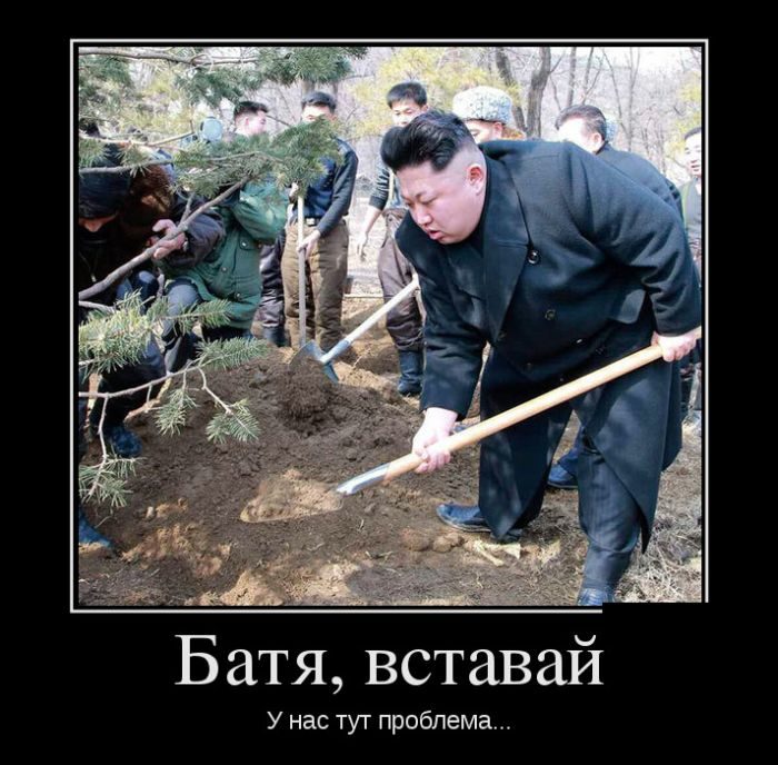 предварительным новые демотиваторы смотреть начала