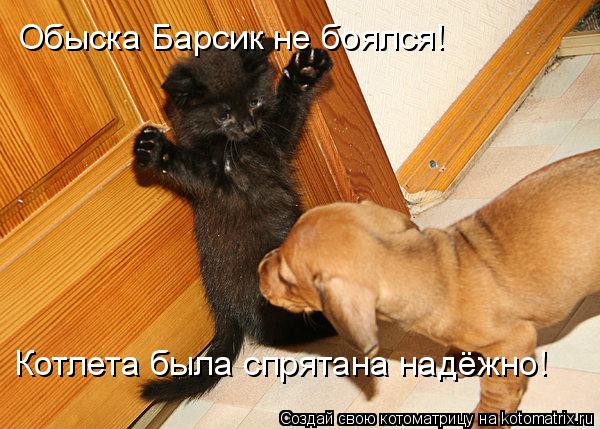 Мысли вслух :)