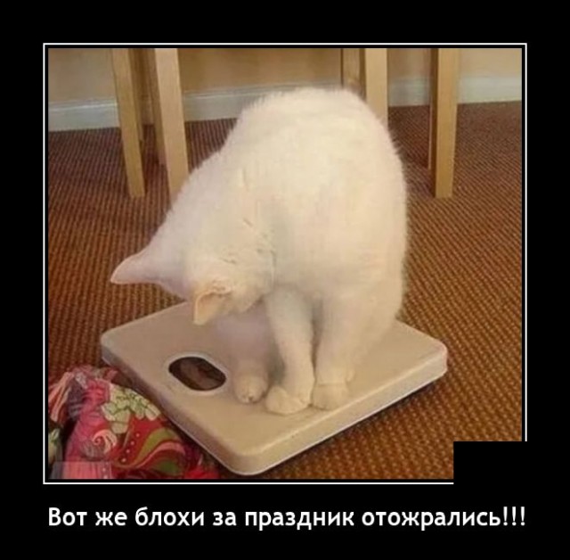 Отдыхать тоже надо уметь)  пора, посмотреть, холодильник